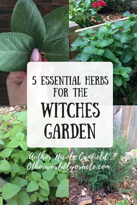 A witch in herb garden